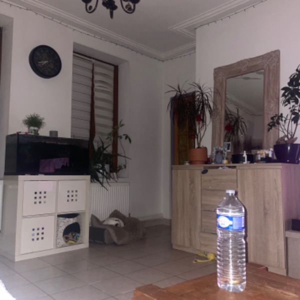 Foto del alojamiento