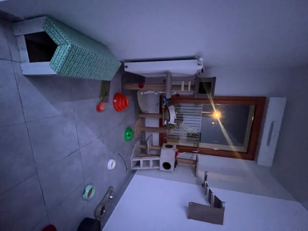 Foto del alojamiento
