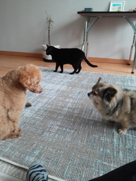 Foto del alojamiento