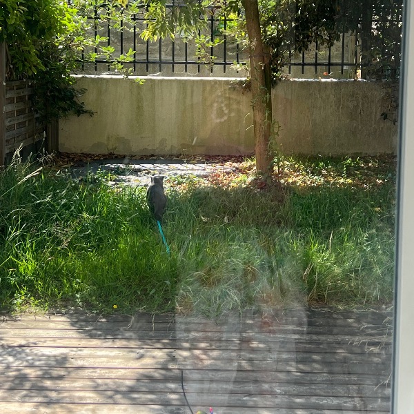Foto del alojamiento