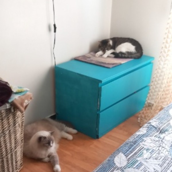 Foto del alojamiento