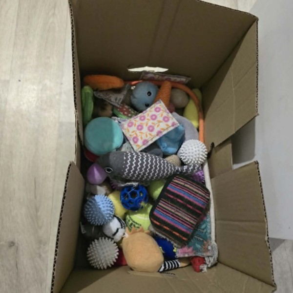 Foto del alojamiento