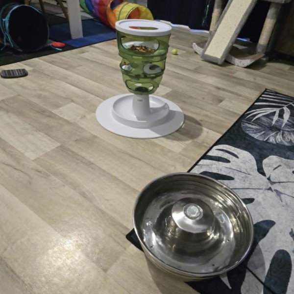 Foto del alojamiento