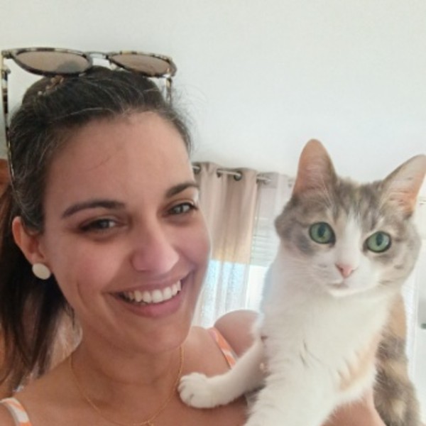 Foto del alojamiento