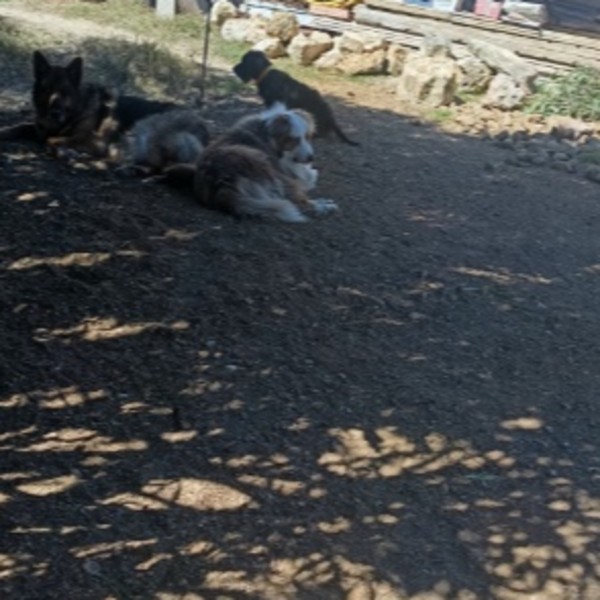 Foto del alojamiento
