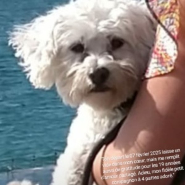 Foto del alojamiento