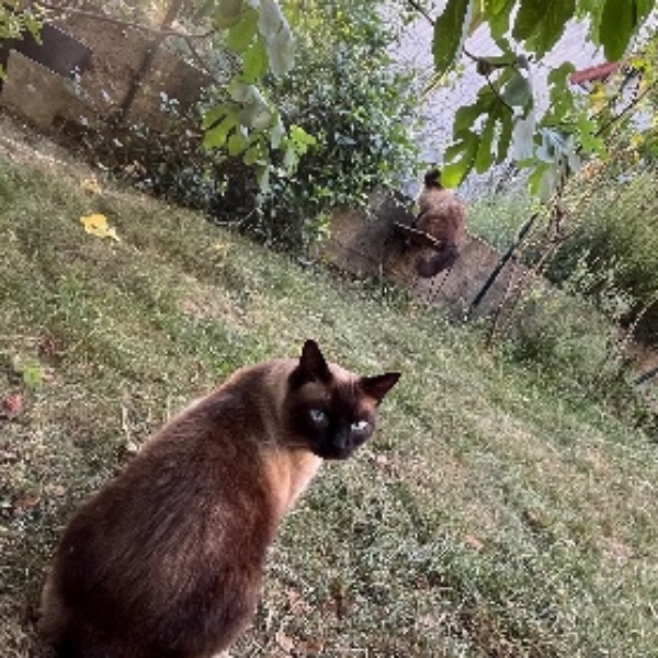 Foto del alojamiento