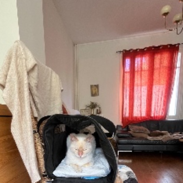 Foto del alojamiento