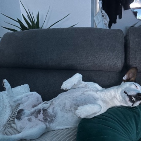 Foto del alojamiento