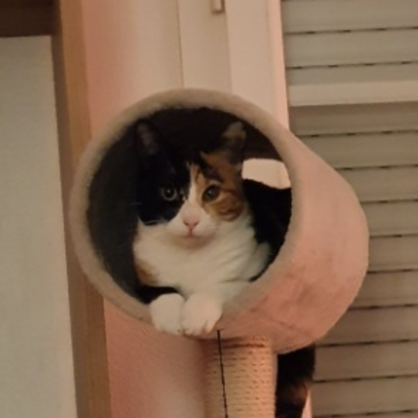Foto del alojamiento