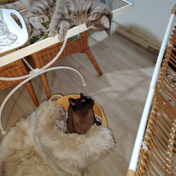 Foto del alojamiento