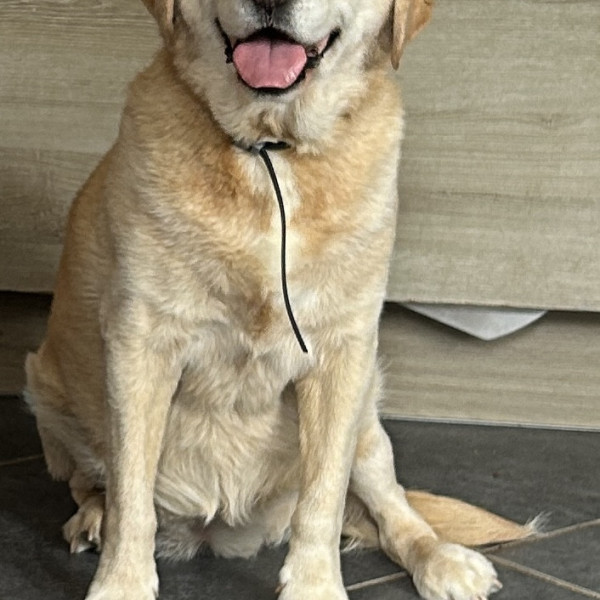 Foto del alojamiento