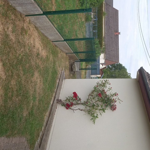 Foto del alojamiento
