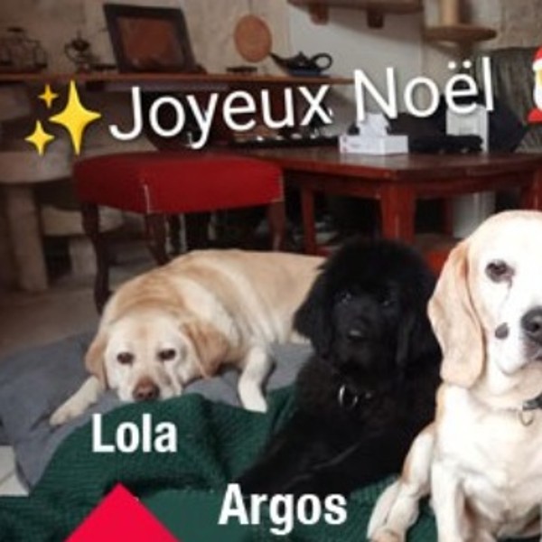 Foto del alojamiento