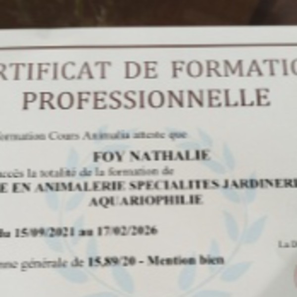 Foto del alojamiento