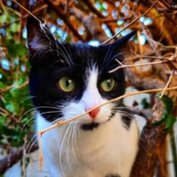 Foto del alojamiento