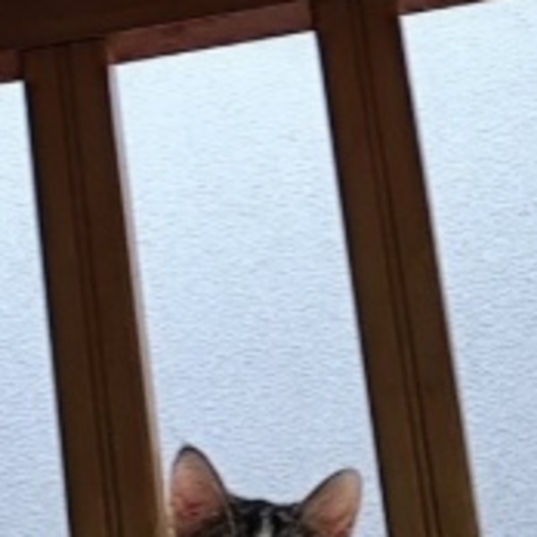 Foto del alojamiento