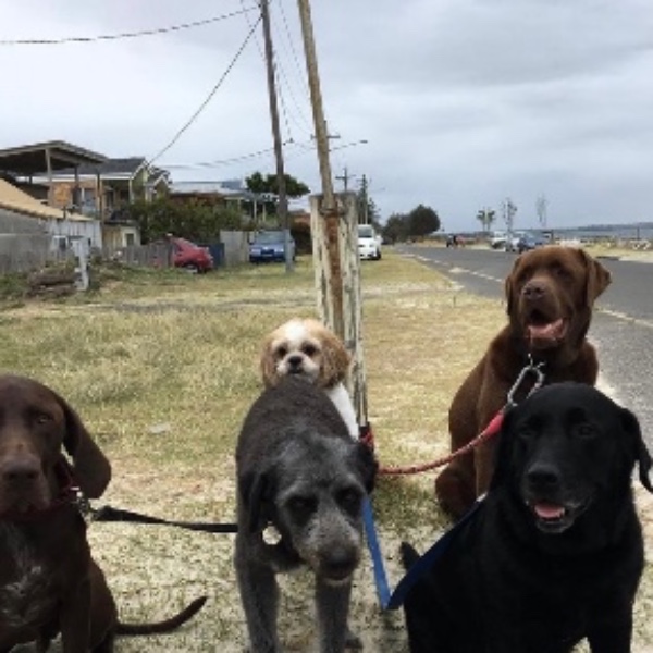Foto del alojamiento