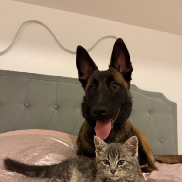 Foto del alojamiento