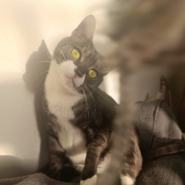Foto del alojamiento