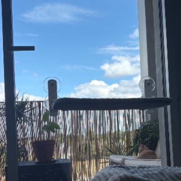 Foto del alojamiento