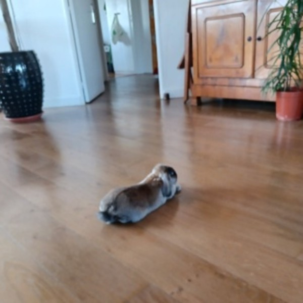 Foto del alojamiento