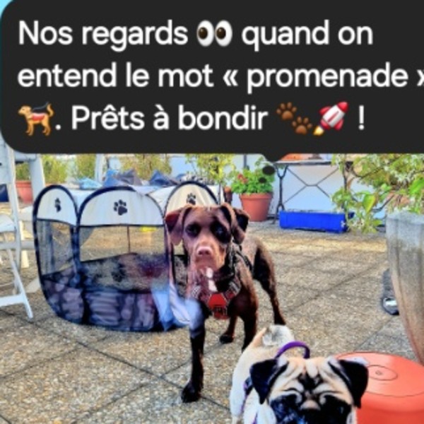Foto del alojamiento