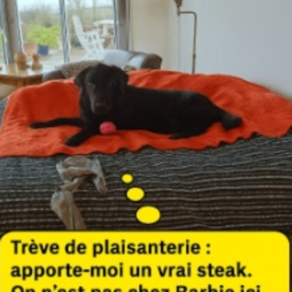 Foto del alojamiento