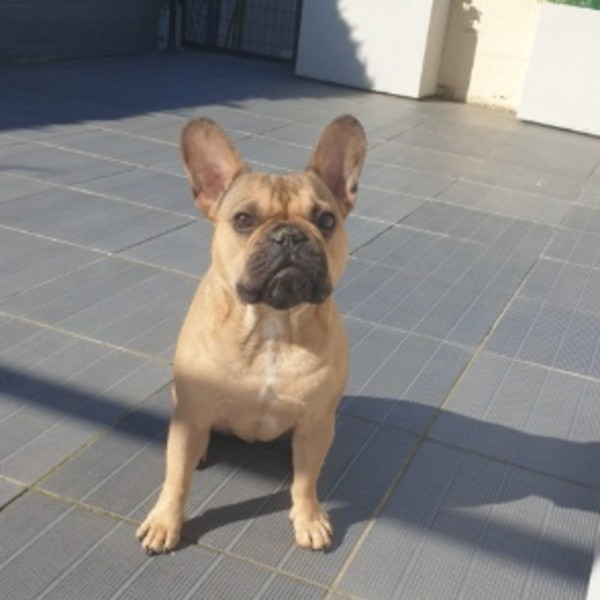Foto del alojamiento