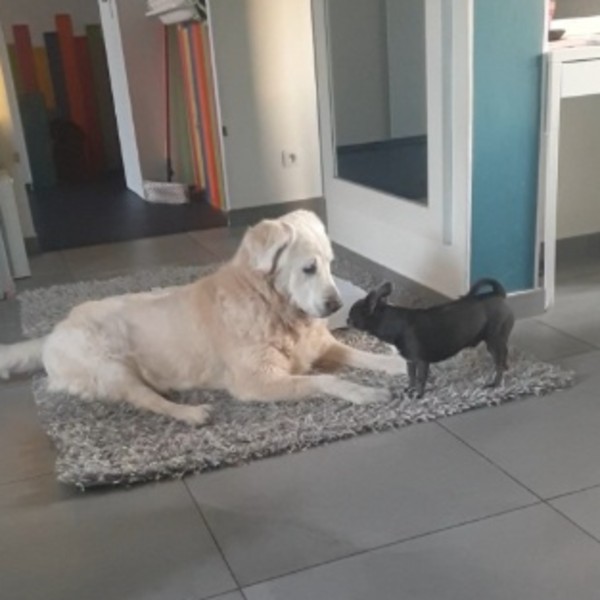 Foto del alojamiento