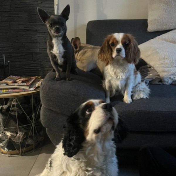 Foto del alojamiento