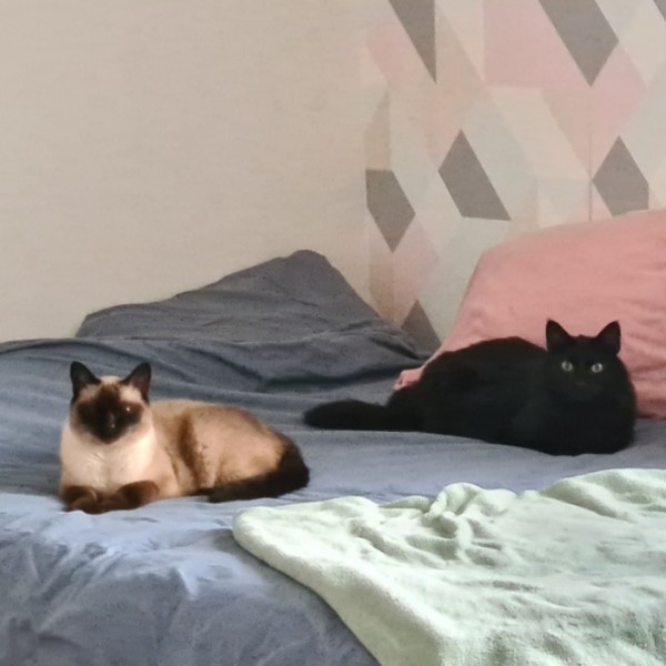 Foto del alojamiento
