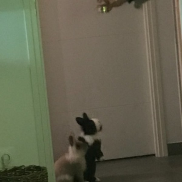 Foto del alojamiento