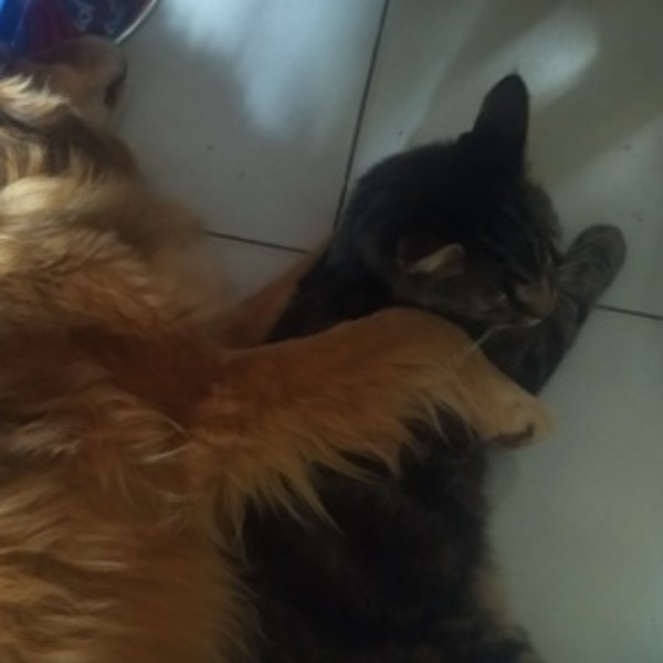 Foto del alojamiento