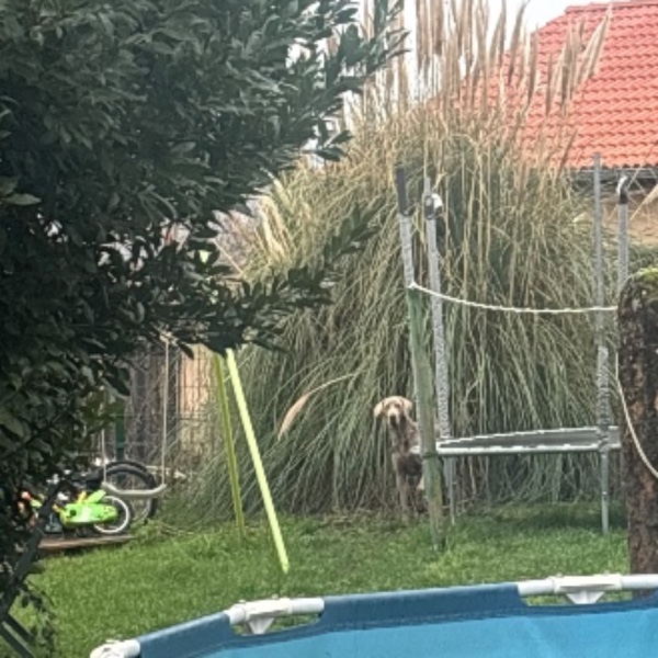 Foto del alojamiento
