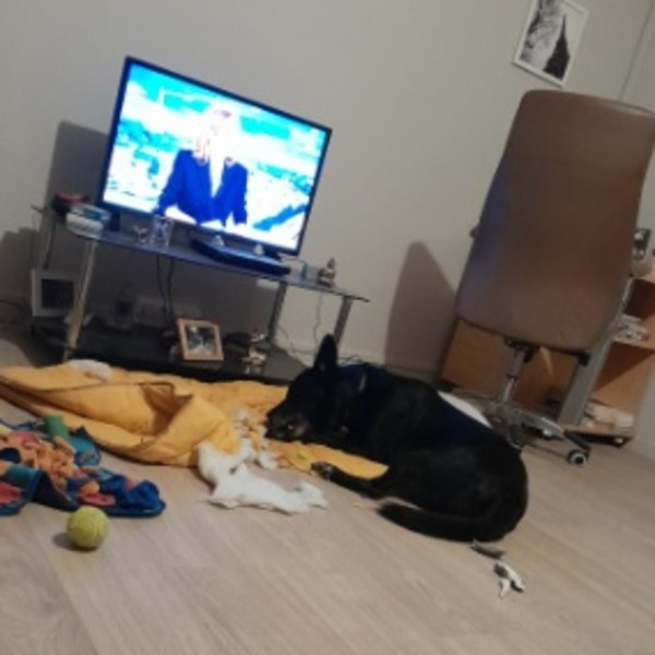 Foto del alojamiento