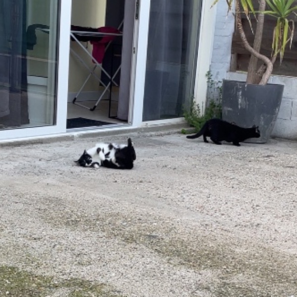 Foto del alojamiento