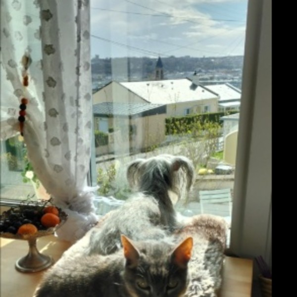Foto del alojamiento