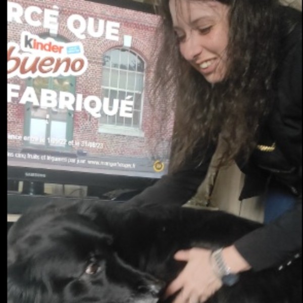 Foto del alojamiento