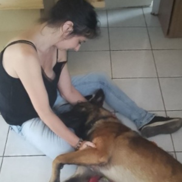 Foto del alojamiento