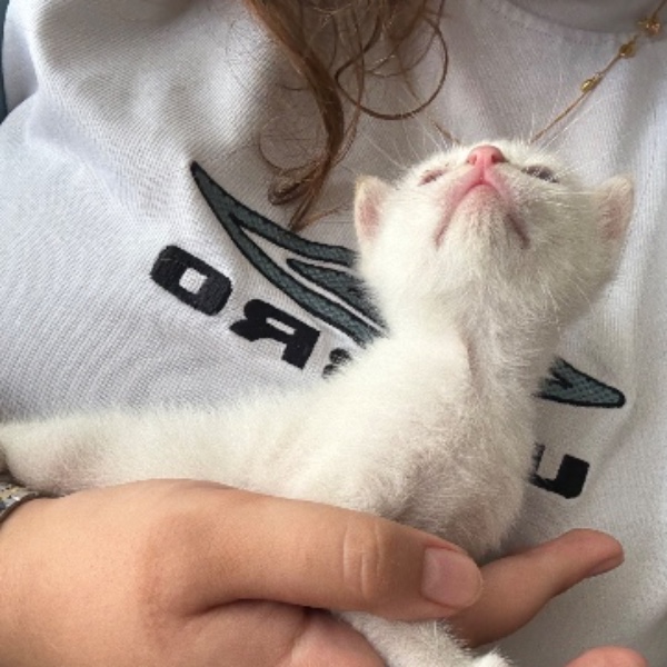 Foto del alojamiento