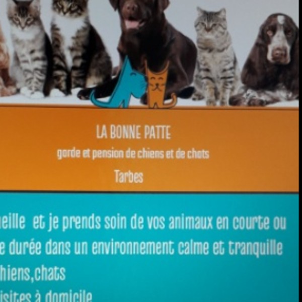 Foto del alojamiento