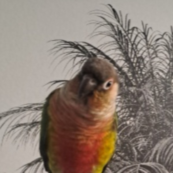 Foto del alojamiento