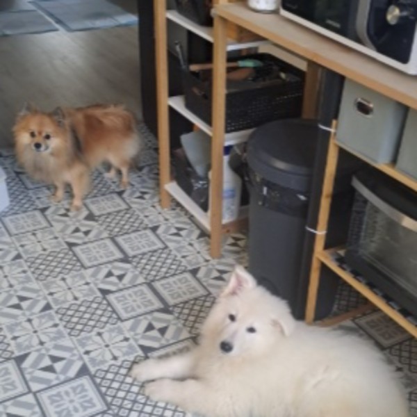 Foto del alojamiento