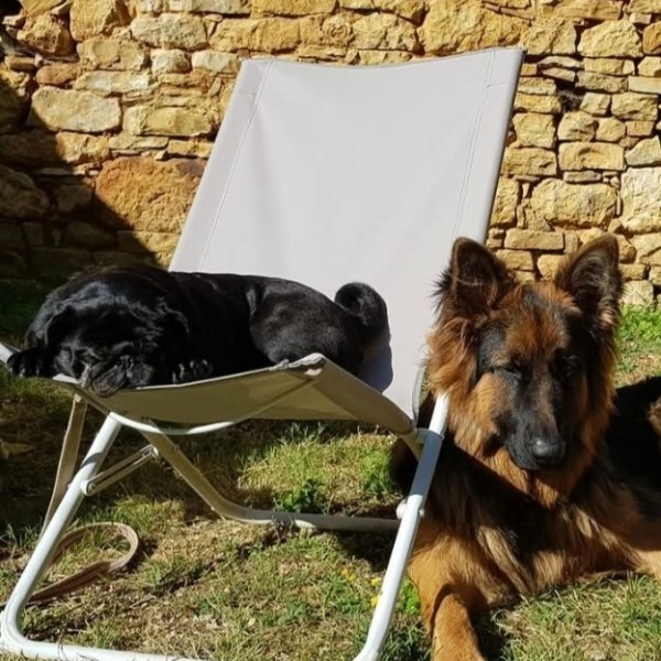 Foto del alojamiento
