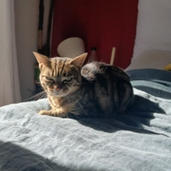 Foto del alojamiento