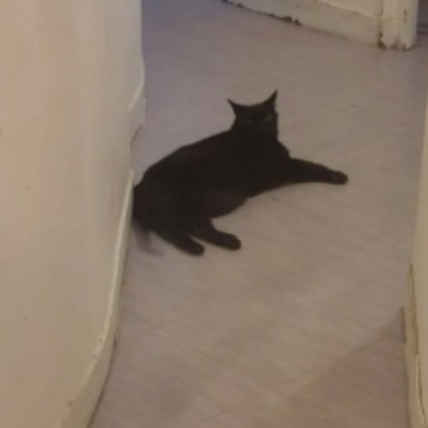Foto del alojamiento