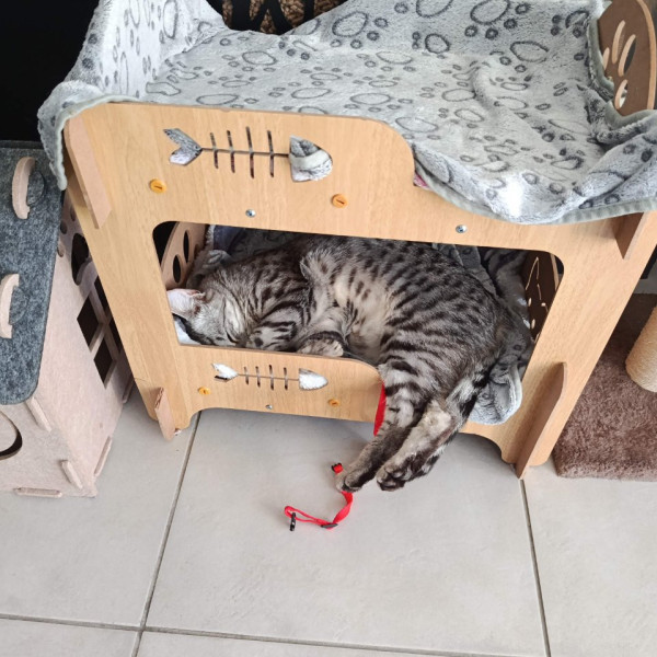 Foto del alojamiento