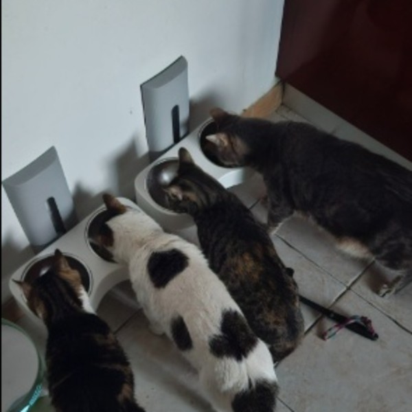 Foto del alojamiento