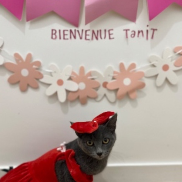 Foto del alojamiento